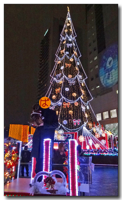 20141225060648.JPG