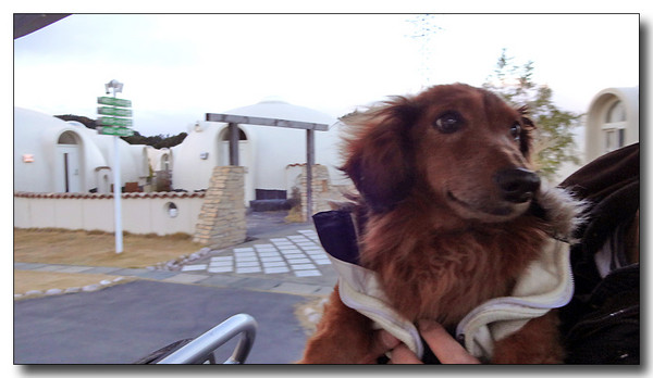 20150103055531.JPG