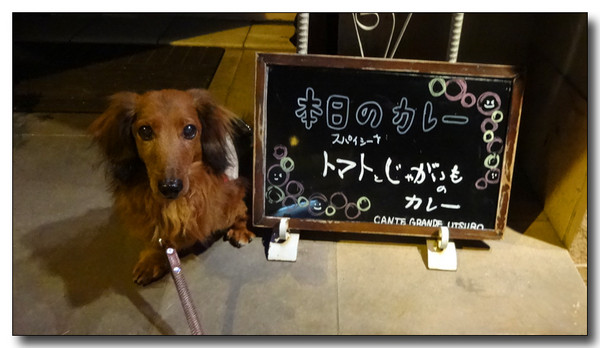 20140213094657.JPG
