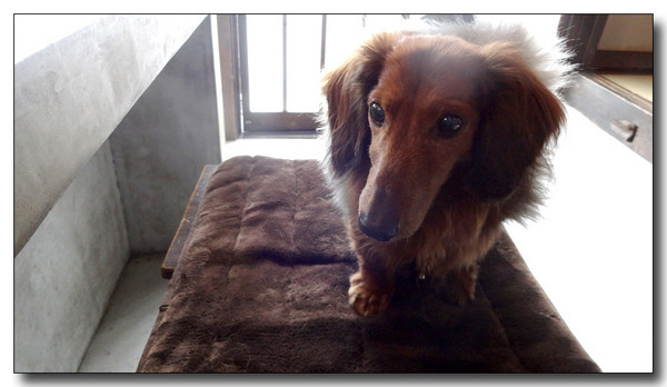 20140216172517.JPG