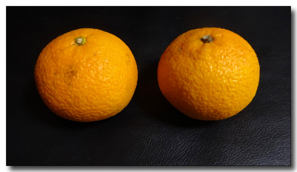 20140216172519.JPG
