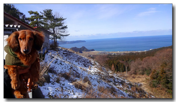20140216202707.JPG