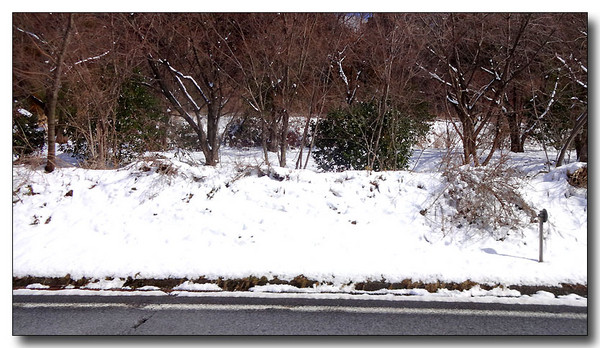 20140216202729.JPG