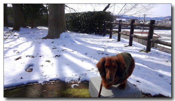 20140216202730.JPG