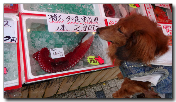 20140217003443.JPG