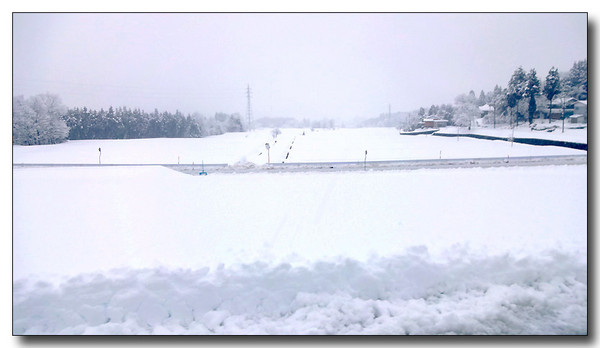 20140223115956.JPG