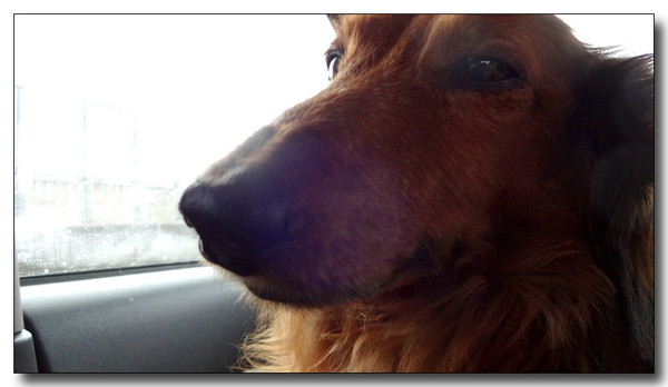 20140224161926.JPG