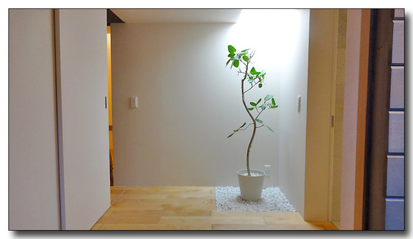 20140226045204.JPG