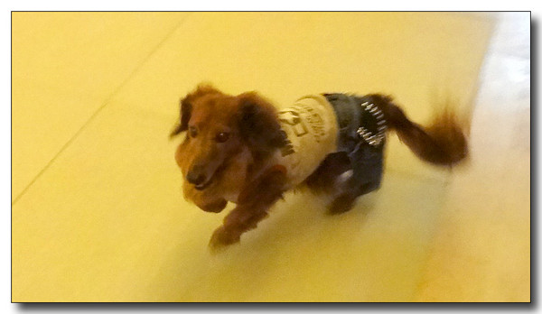 20140226045703.JPG