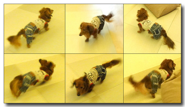20140226045949.jpg