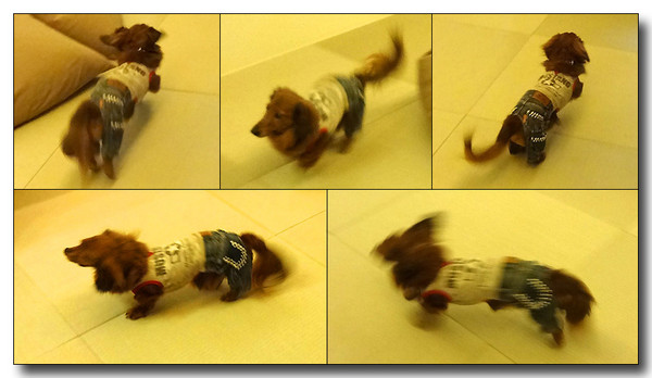 20140226045951.jpg