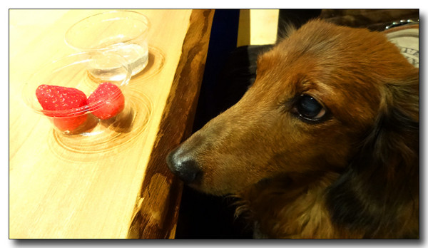 20140226060056.JPG