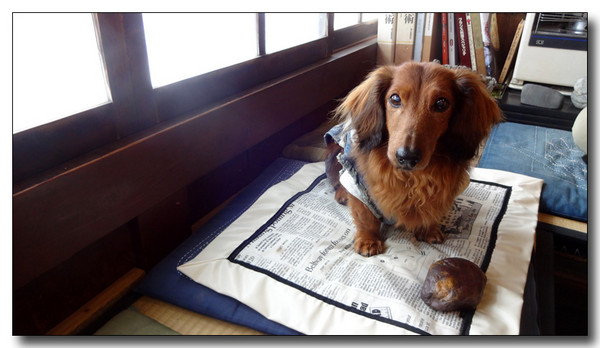 20140303082211.JPG