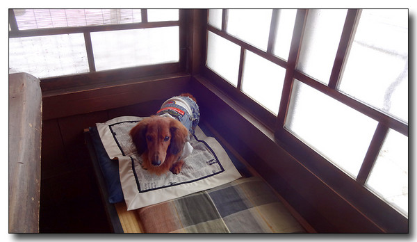 20140303082212.JPG