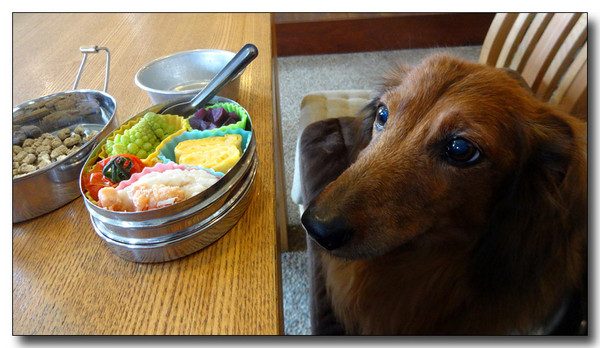 20140309115653.JPG