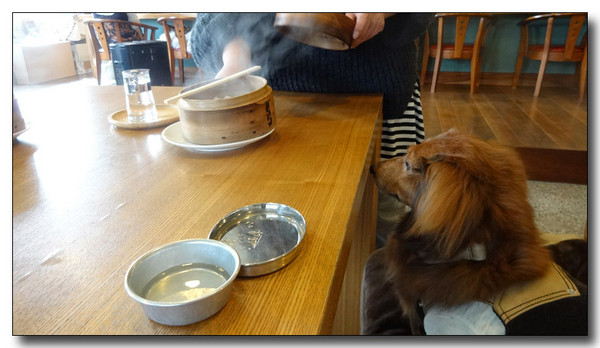 20140309115737.JPG