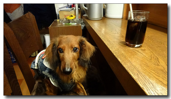 20140310122603.JPG