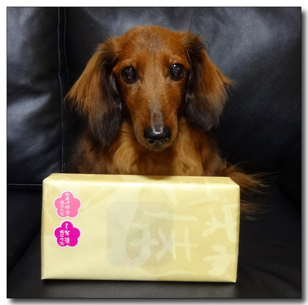 20140311231614.JPG