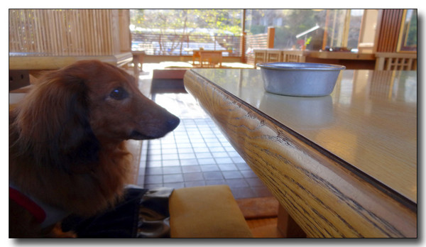 20140312143452.JPG