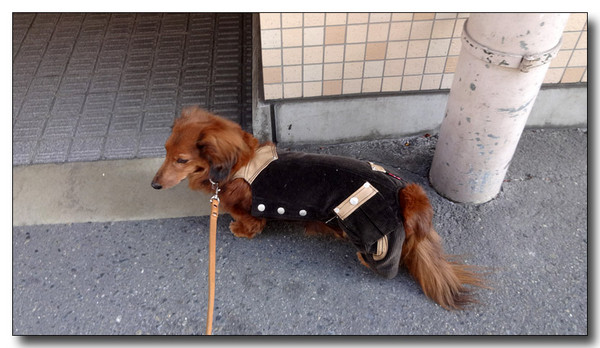 20140312192023.JPG