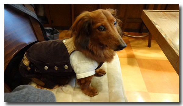 20140314170511.JPG
