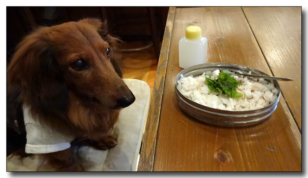 20140314170514.JPG