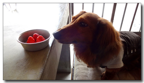 20140314192824.JPG