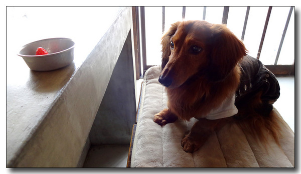 20140314192825.JPG