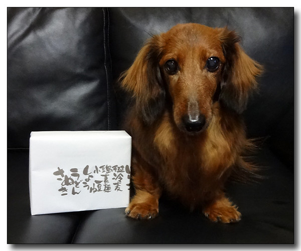 20140315225238.JPG