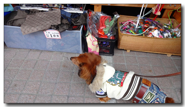 20140315225554.JPG