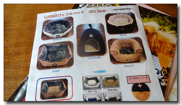 20140321072001.JPG