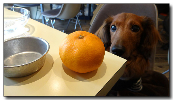20140322165903.JPG