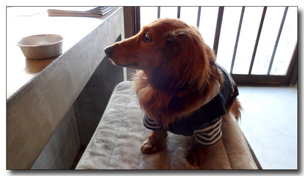 20140322170113.JPG