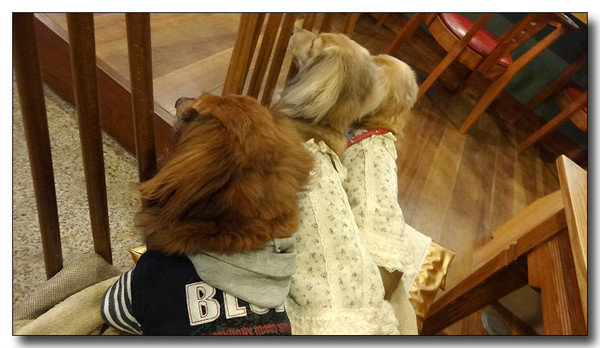 20140323150340.JPG