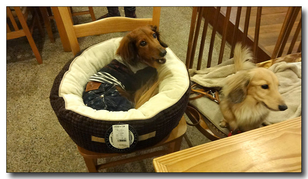20140323150415.JPG