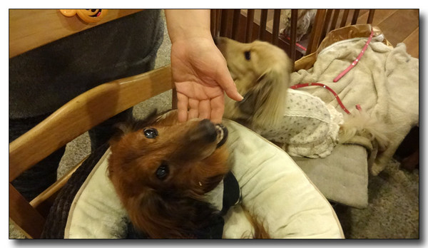 20140323150437.JPG