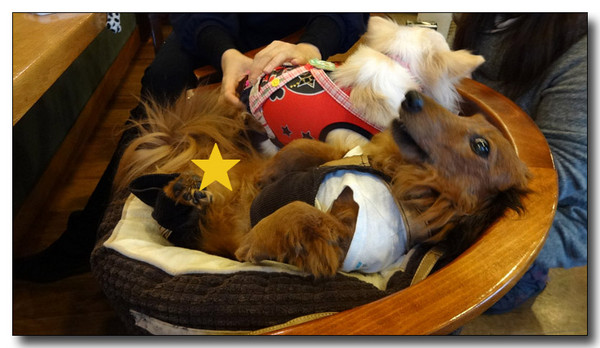 20140324231015.JPG