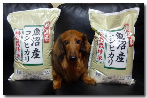 20140330020027.JPG