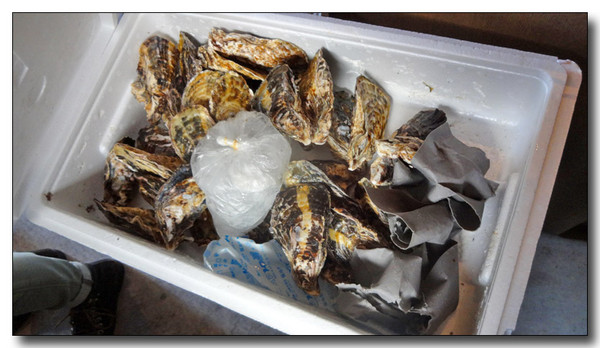 20140330033117.JPG