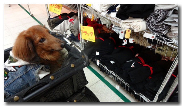 20140403103259.JPG