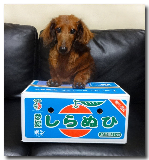 20140403180921.JPG