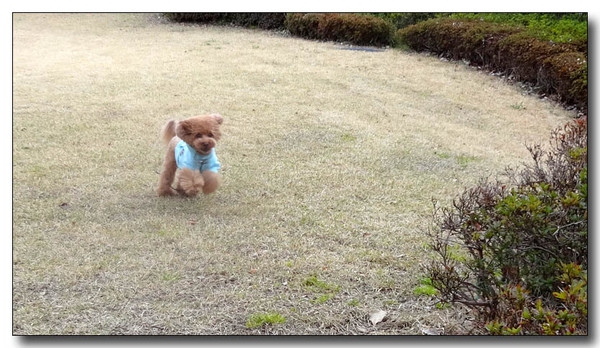 20140407042747.JPG