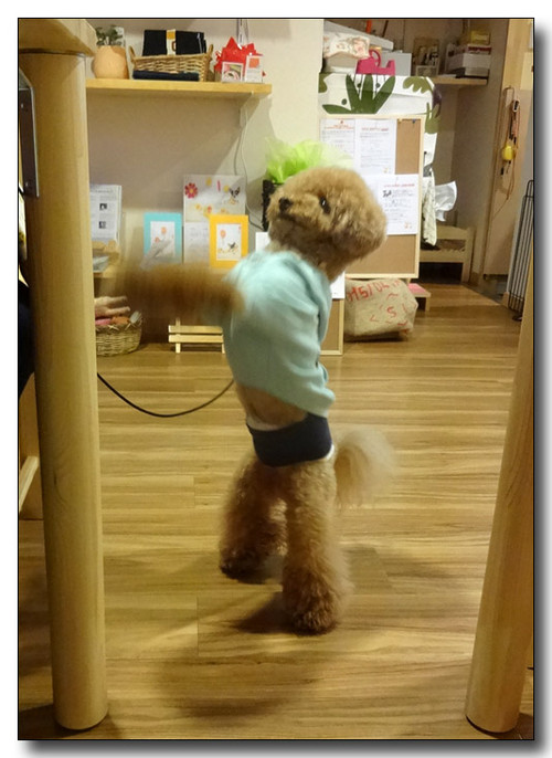 20140407110622.JPG