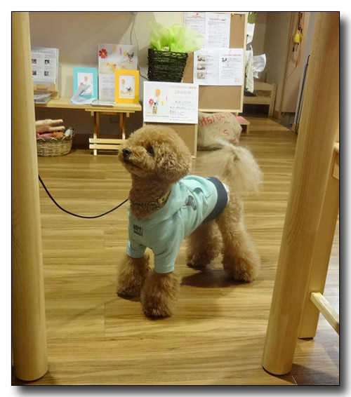 20140407110623.JPG
