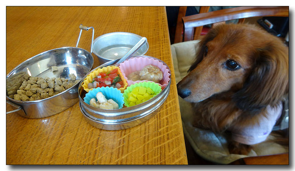 20140408093614.JPG