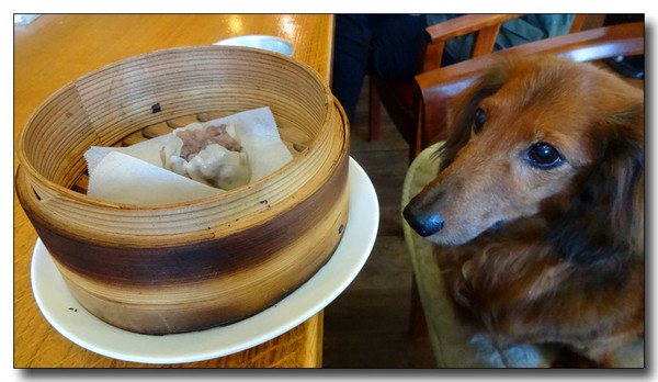 20140408094324.JPG