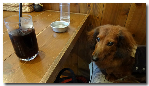 20140409221843.JPG