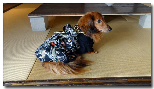20140508171652.JPG