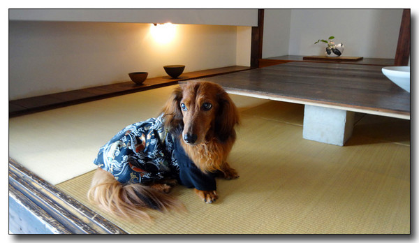 20140508171653.JPG