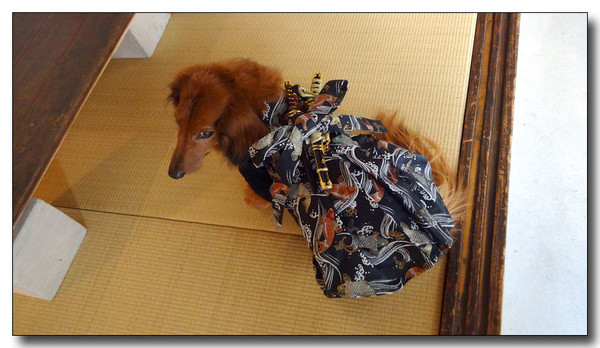 20140508171655.JPG